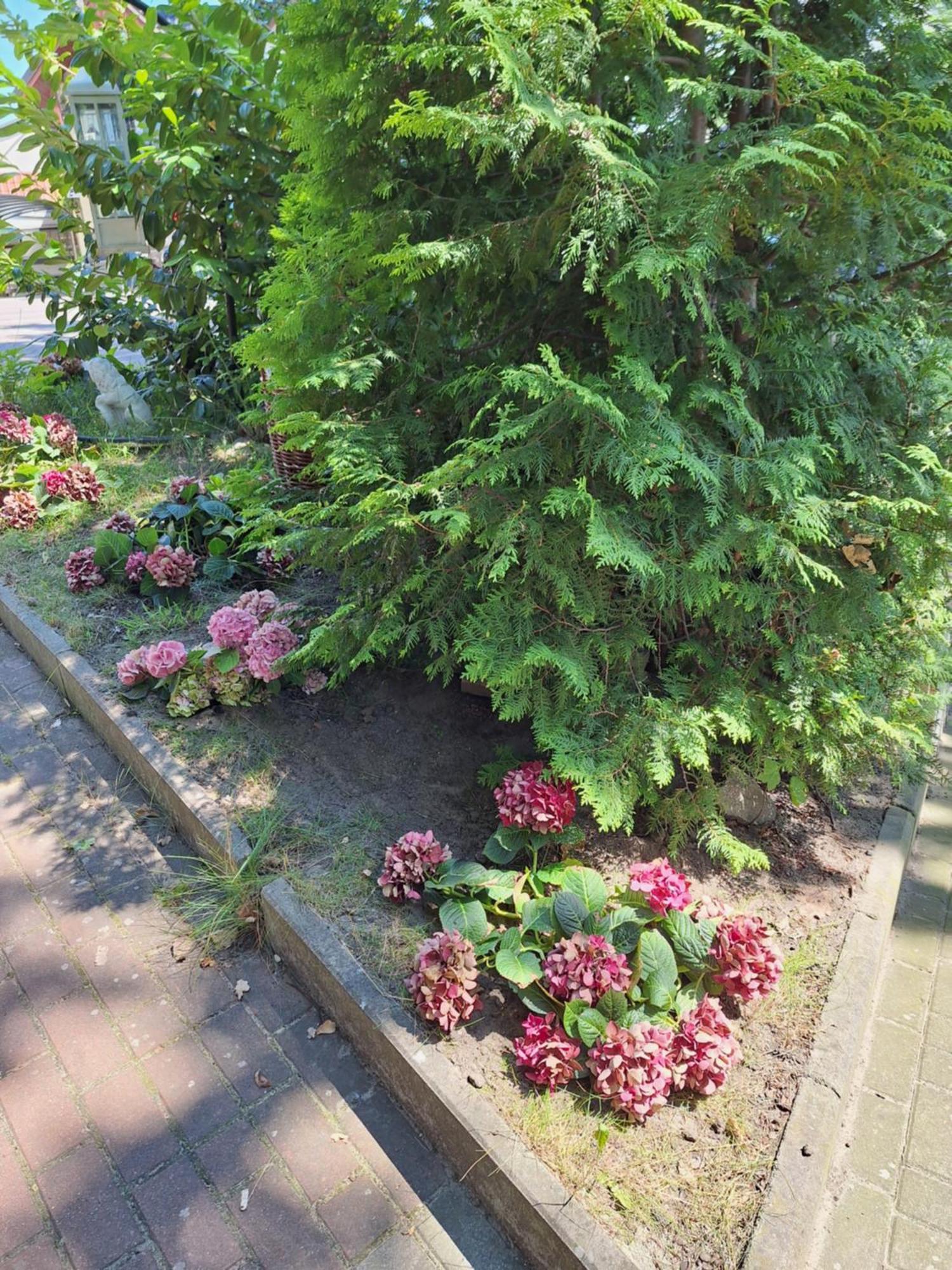 Domek Letniskowy 3 Os Pod Bukiem 미엥지즈드로예 외부 사진